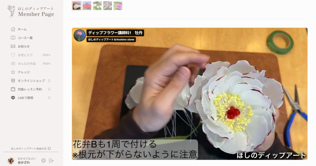 ディップアート　メンバーページ紹介　動画視聴　牡丹３