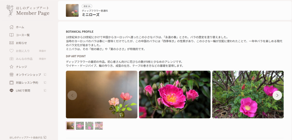 ディップアート　メンバーページ　レッスンページ紹介