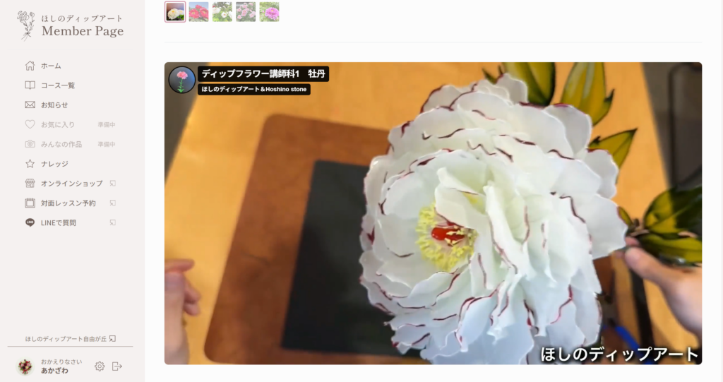 ディップアート　メンバーページ紹介　動画視聴　牡丹４
